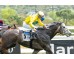  Carrera: P.Gran Hipódromo de Andalucia Caballo: Irish Breath Monta: B.Estupiñán